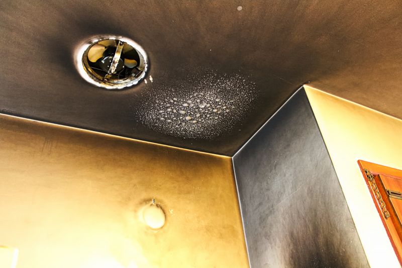 Smoke and Odor Removal